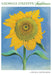 Georgia O'Keeffe Sunflowers Assorted Notecard Folio    