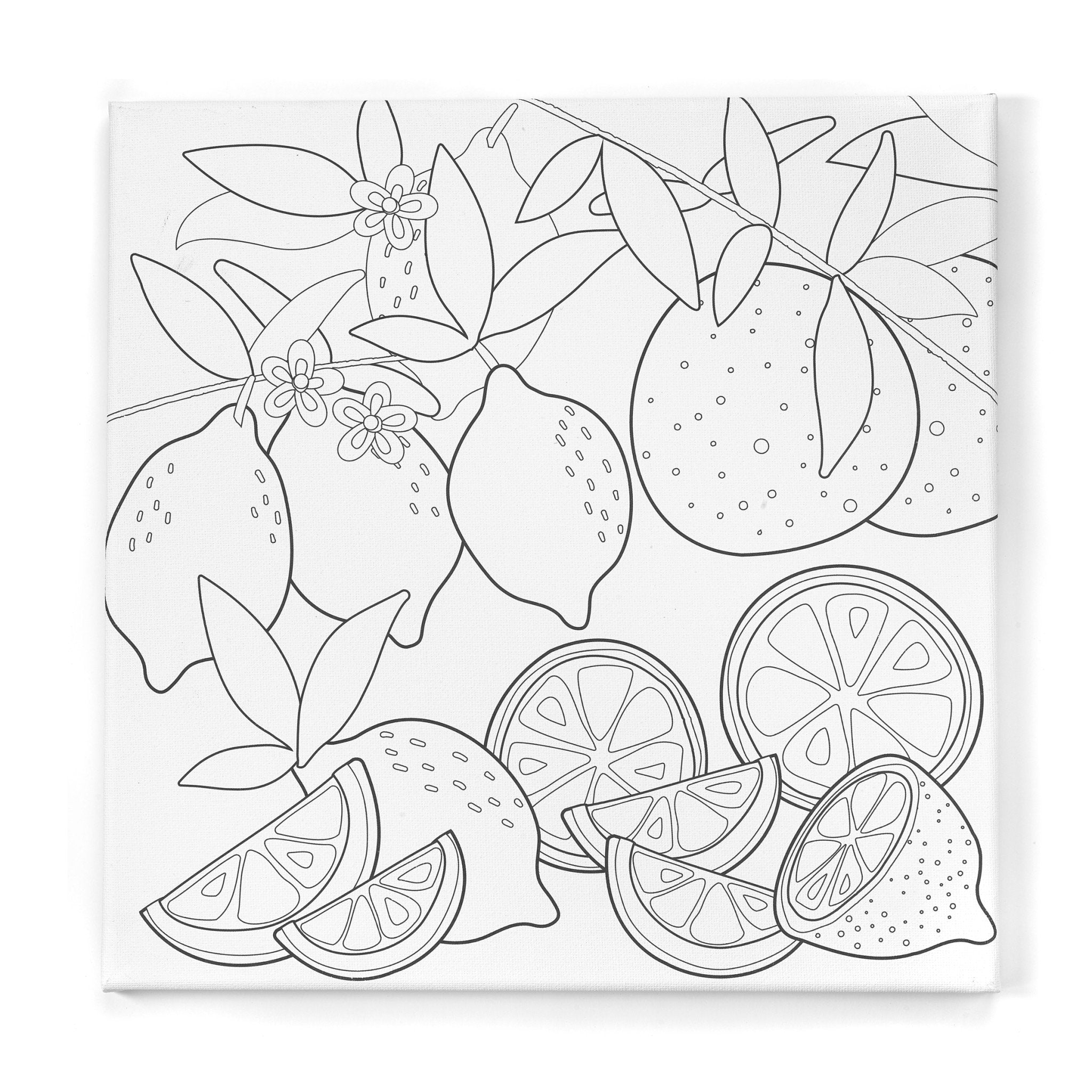 Paint By Number Watercolor Set - Produce    