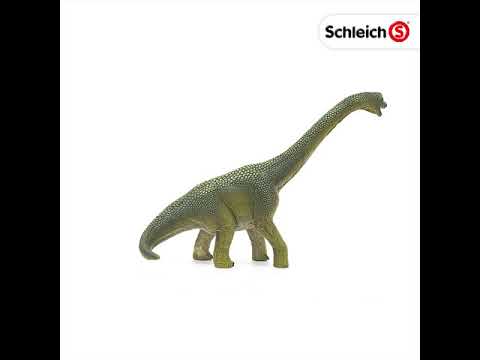 Schleich Dinosaur - Brachiosaurus