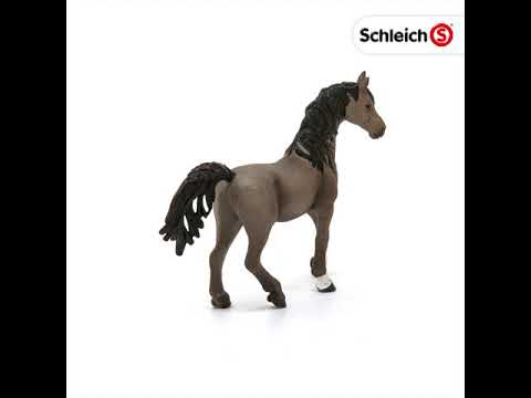 Schleich Horse - Arabian Stallion