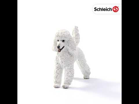 Schleich - Poodle