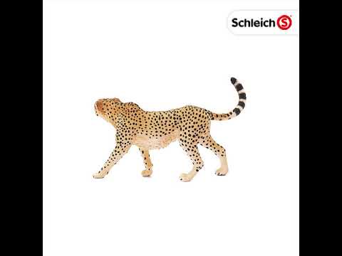 Schleich - Female Cheetah