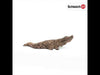 Schleich - Crocodile