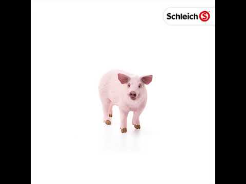Schleich - Pig