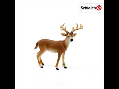 Schleich - White Tailed Buck