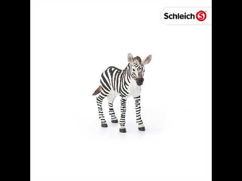 Schleich - Zebra Foal