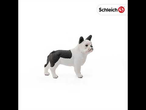 Schleich - French Bull Dog