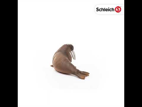 Schleich - Walrus