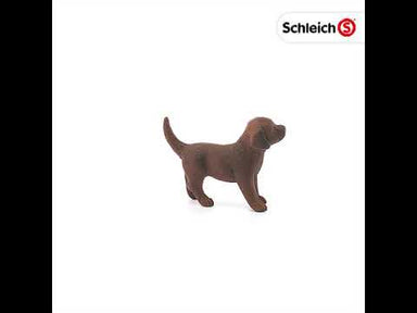 Schleich - Chocolate Labrador Retriever Puppy