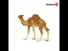 Schleich - Dromedary