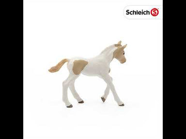 Schleich Horse - Paint Horse Foal