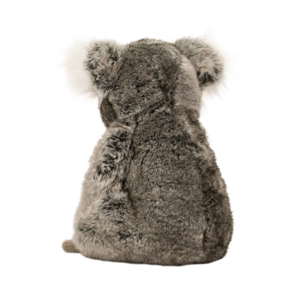 Douglas Kellen Koala    