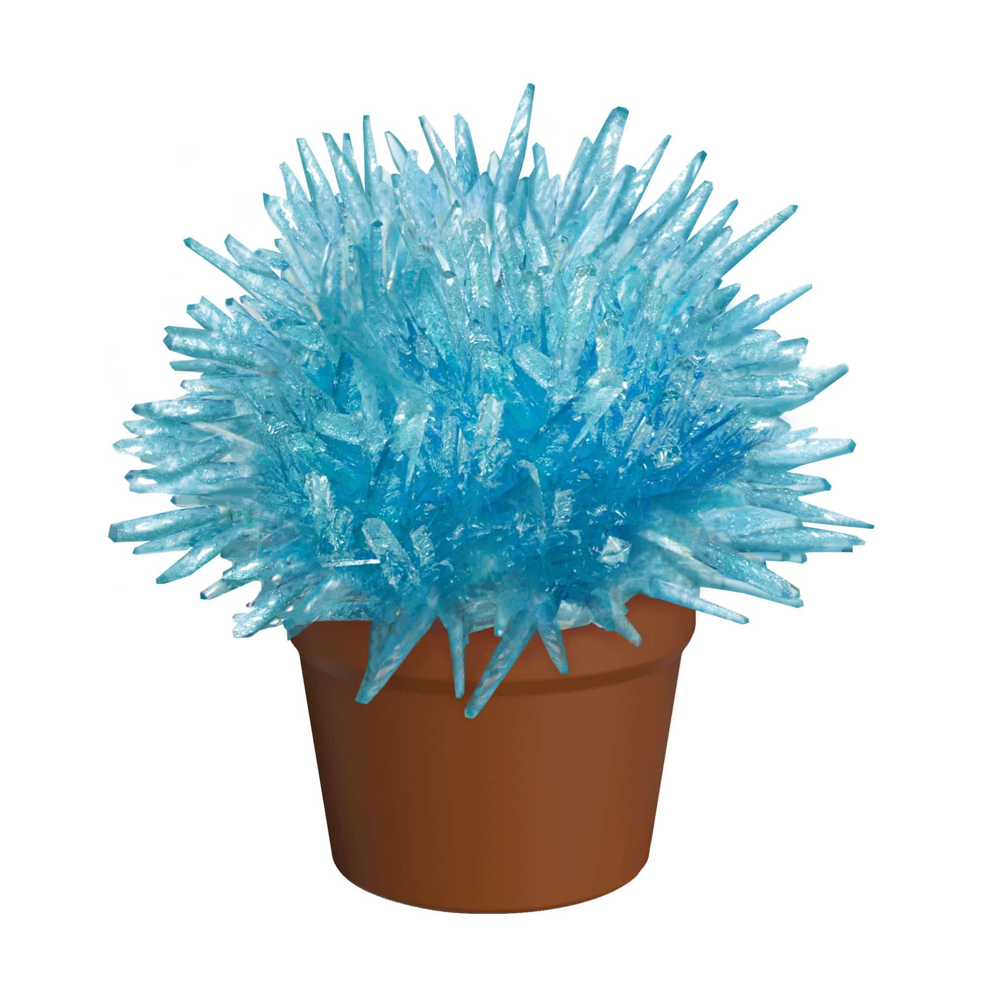 Crystal Cactus - Pink, Green, Blue, or Red    