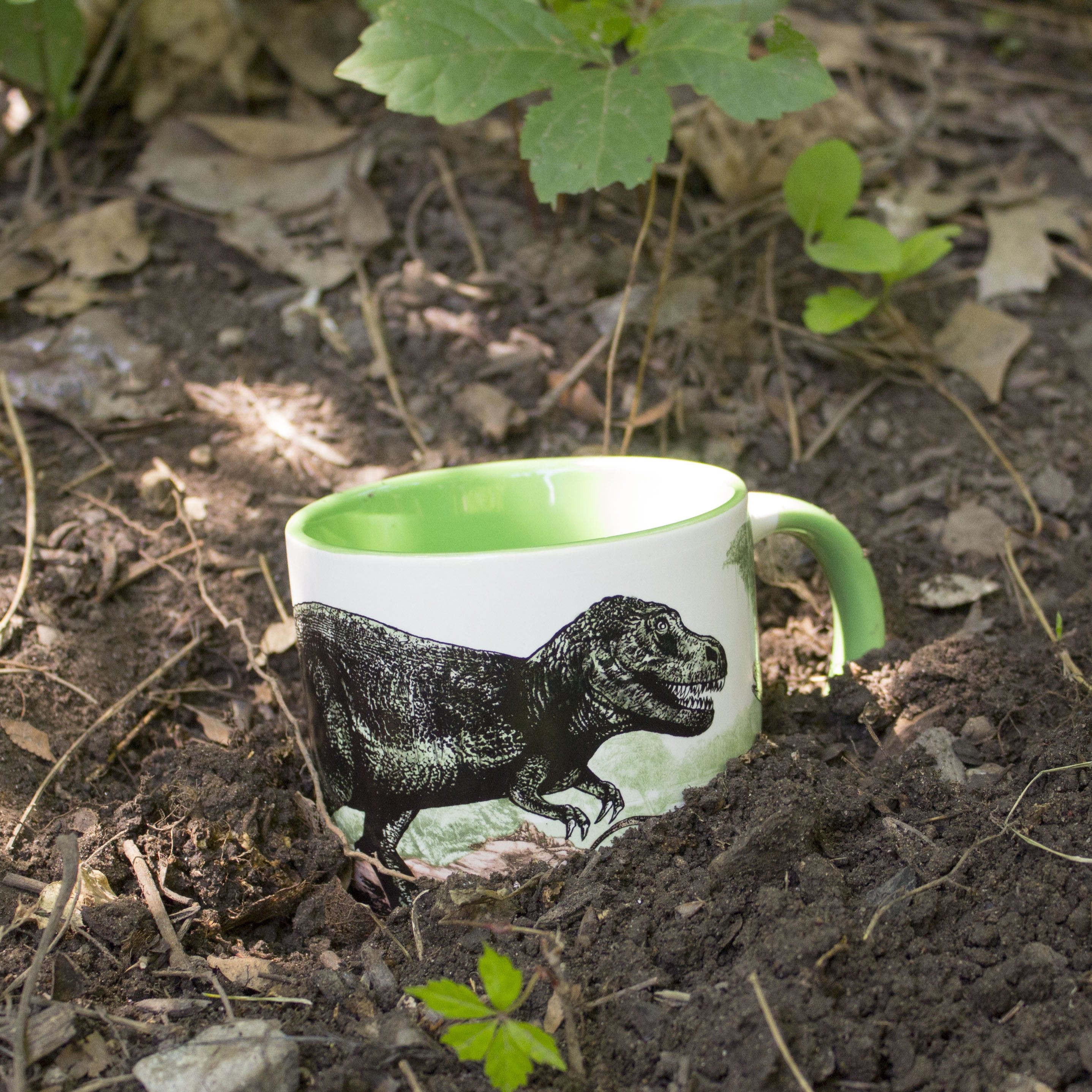 The Disappearing Dinosaur Color Changing Mug    