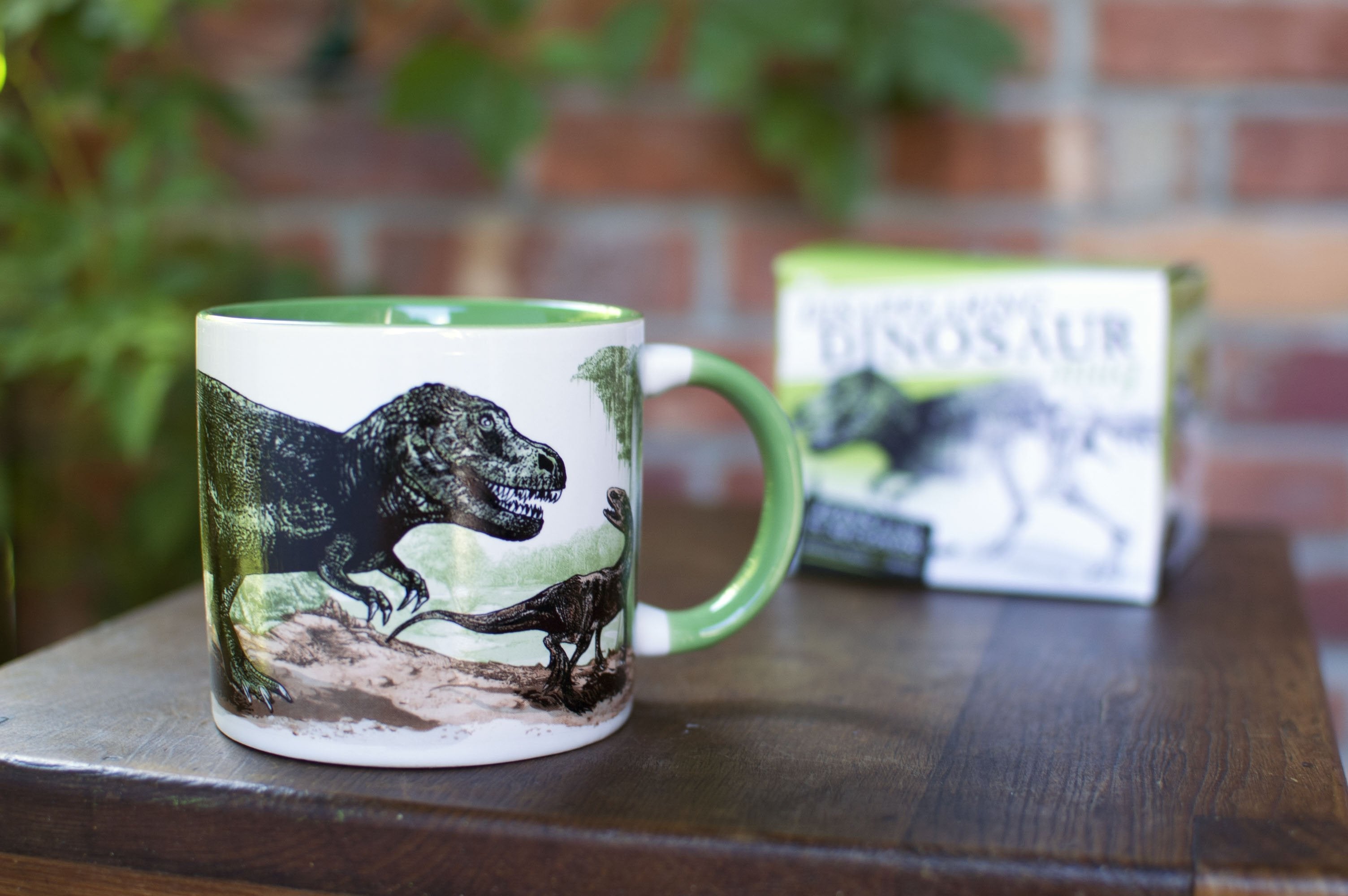 The Disappearing Dinosaur Color Changing Mug    