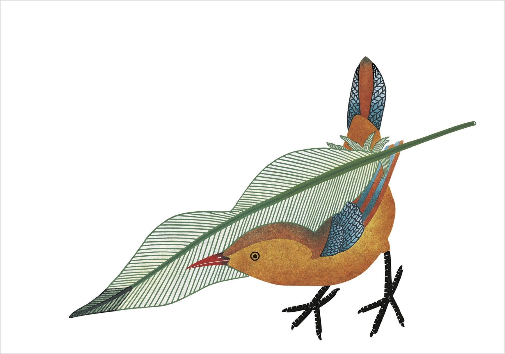Qavavau Manumie Feathering The Nest - Boxed Note Cards    