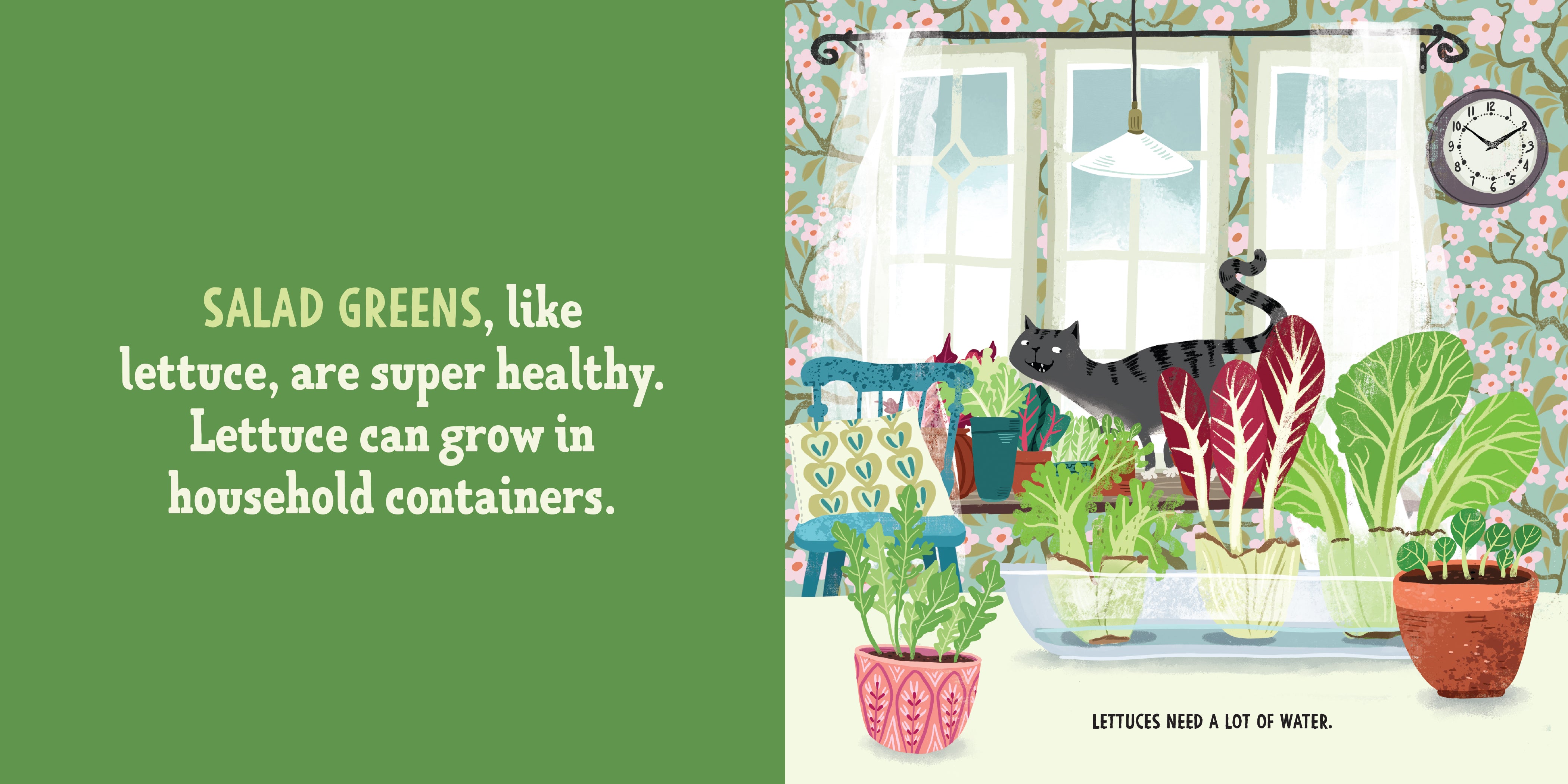 My First Book of Growing Food    