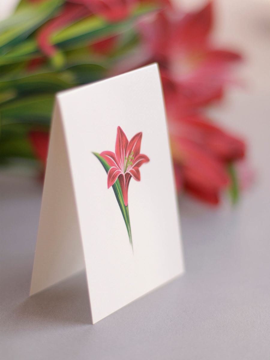 Pop Up Flower Bouquet Greeting Card - Red Amaryllis    