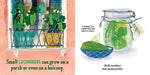 My First Book of Growing Food    