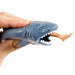 Chomp The Shark    