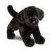Brewster Black Lab    
