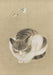Sleeping Cat and Butterflies - Museum of Fine Arts, Boston - Boxed Note Cards    
