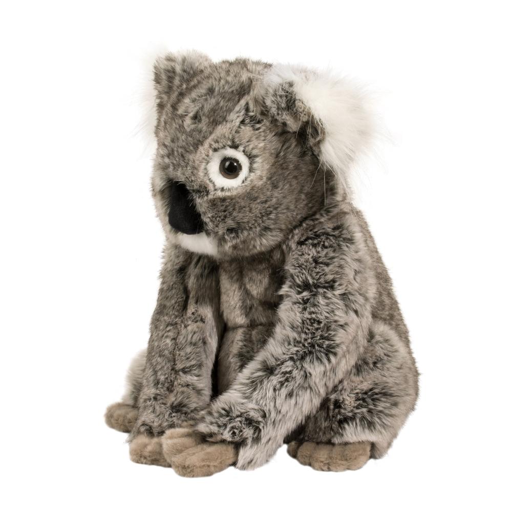 Douglas Kellen Koala    