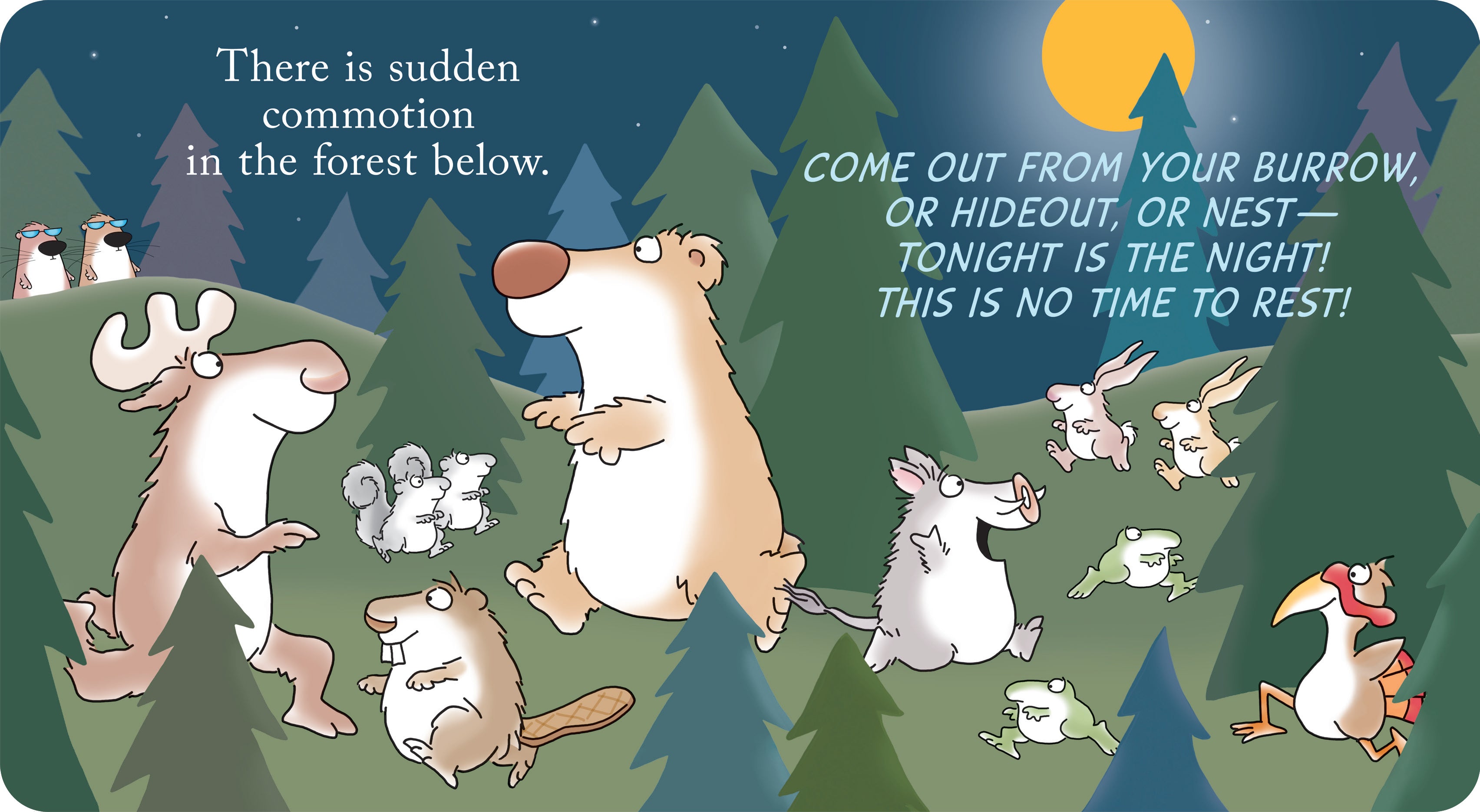 Woodland Dance! - Sandra Boynton Board Book    