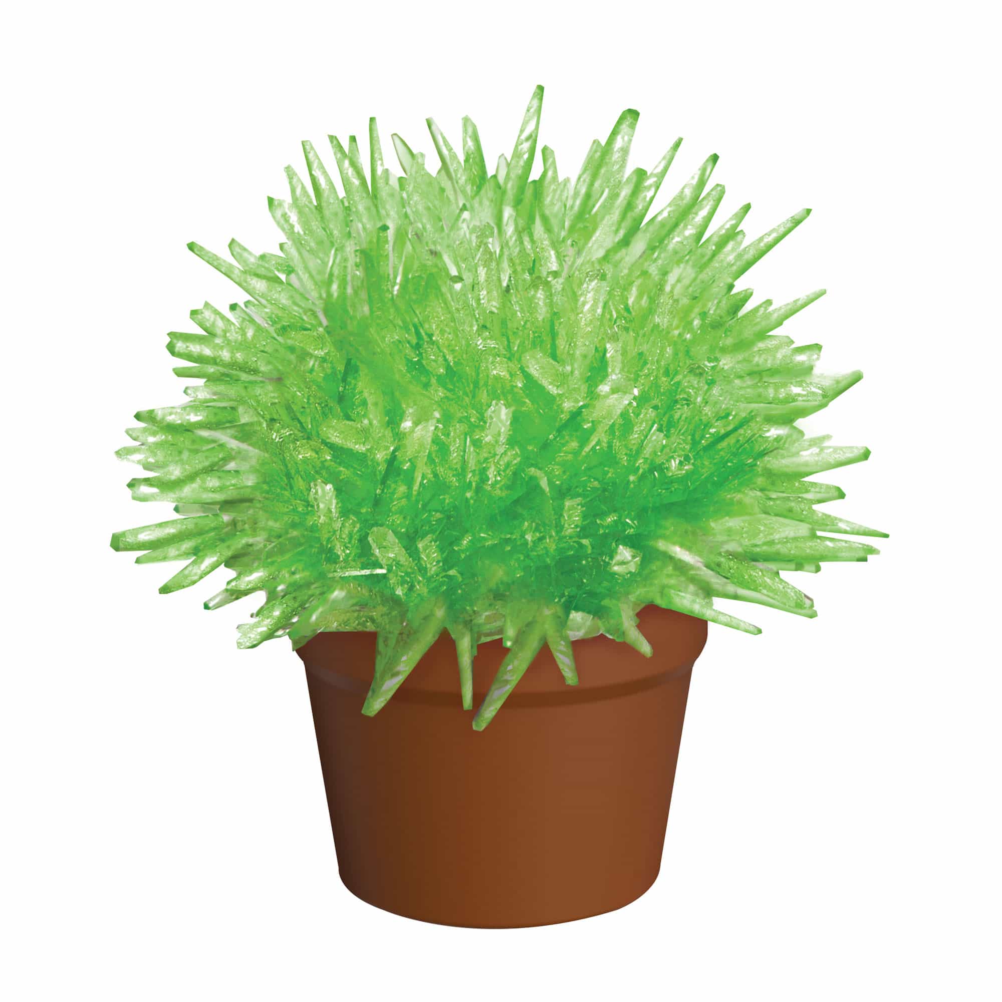 Crystal Cactus - Pink, Green, Blue, or Red    