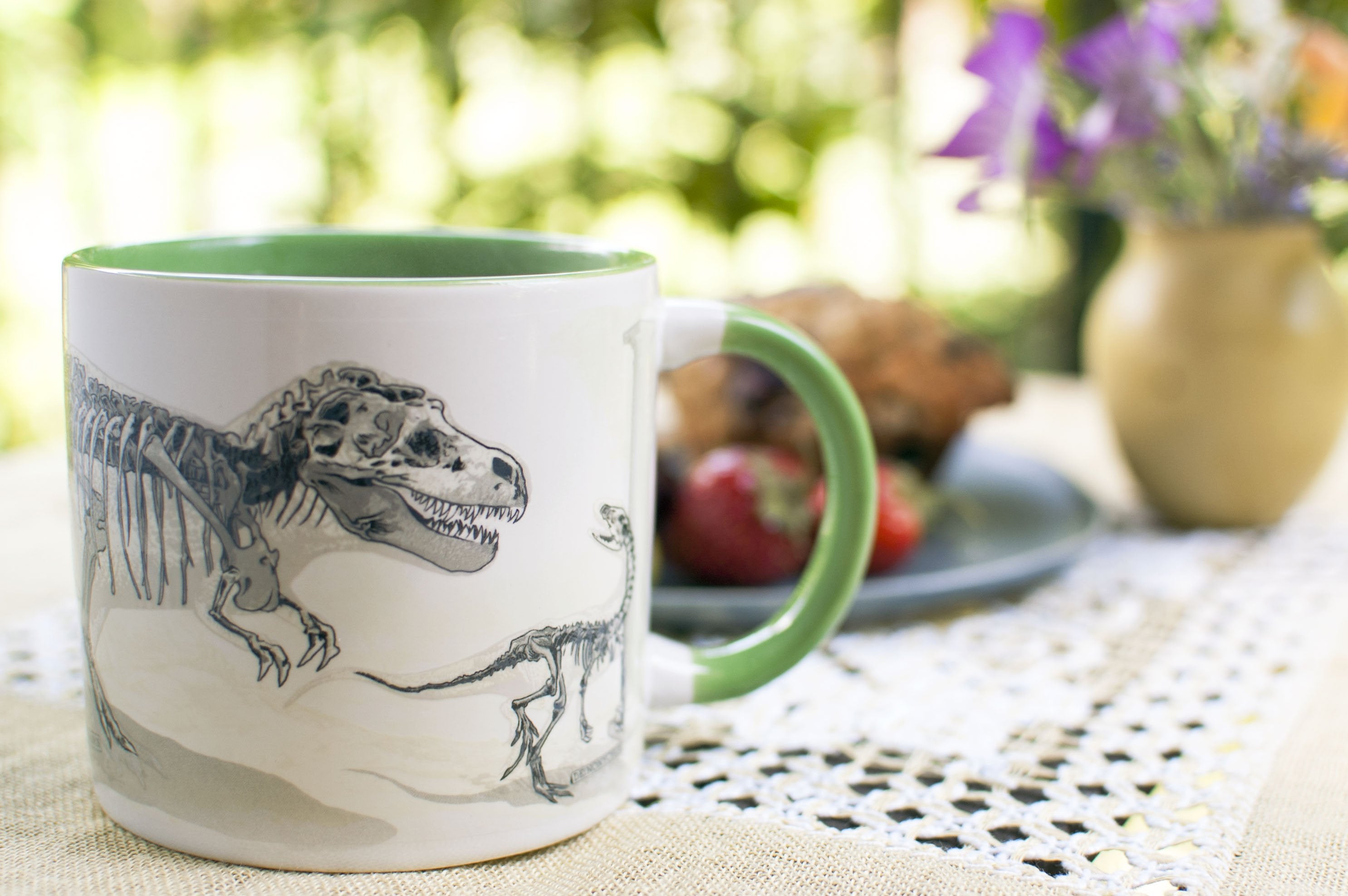 The Disappearing Dinosaur Color Changing Mug    