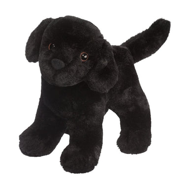 Abraham Black Lab    