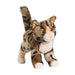 Tashette Bengal Cat    