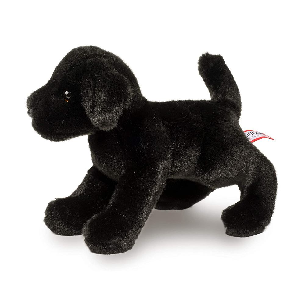 Brewster Black Lab    