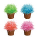 Crystal Cactus - Pink, Green, Blue, or Red    