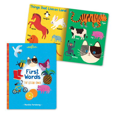 First Words For Little Ones Board Book    