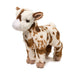 Douglas Gertie Goat    