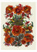Flora Fantastica - Boxed Assorted Note Cards    