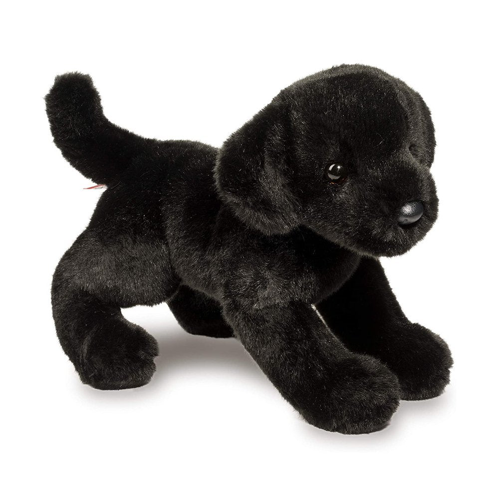 Brewster Black Lab    
