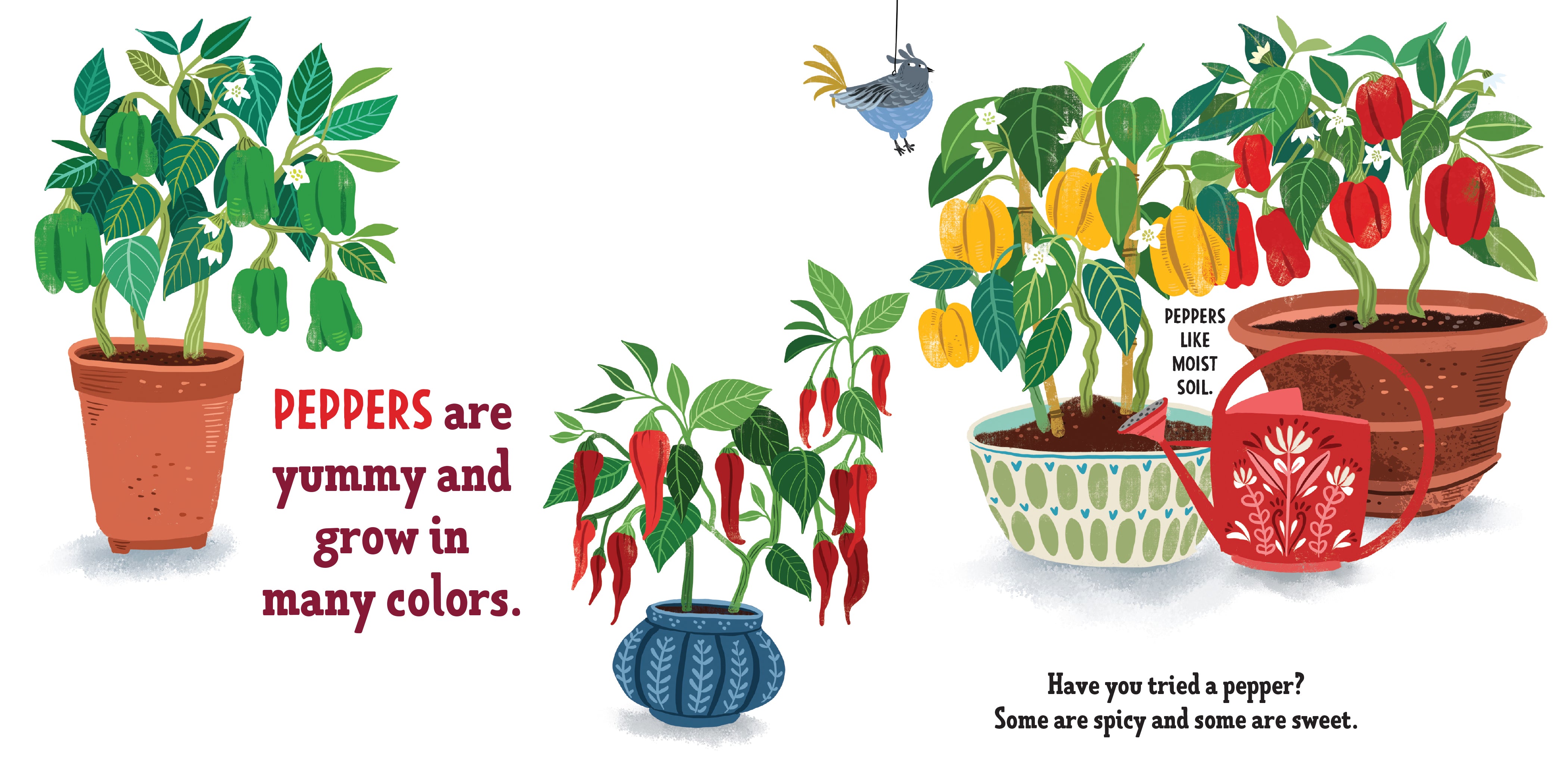 My First Book of Growing Food    