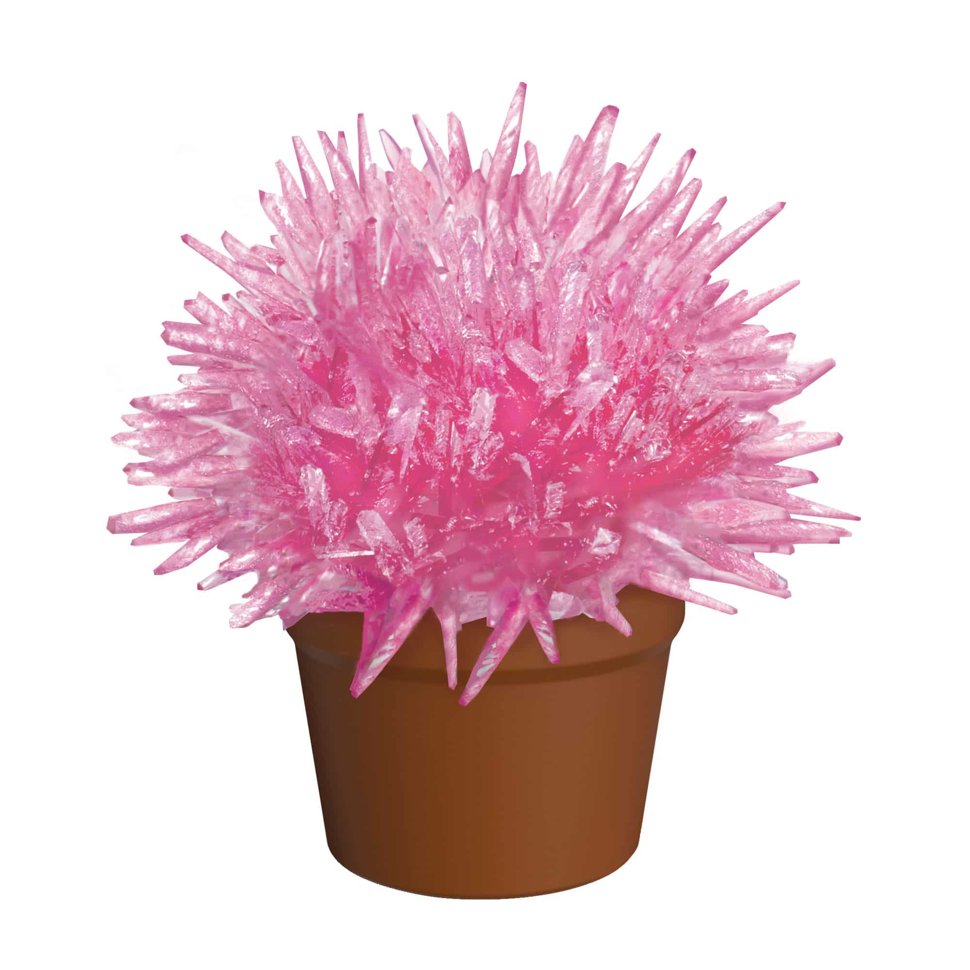 Crystal Cactus - Pink, Green, Blue, or Red    