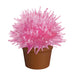 Crystal Cactus - Pink, Green, Blue, or Red    
