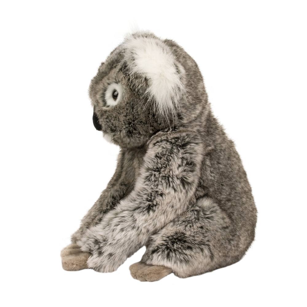 Douglas Kellen Koala    