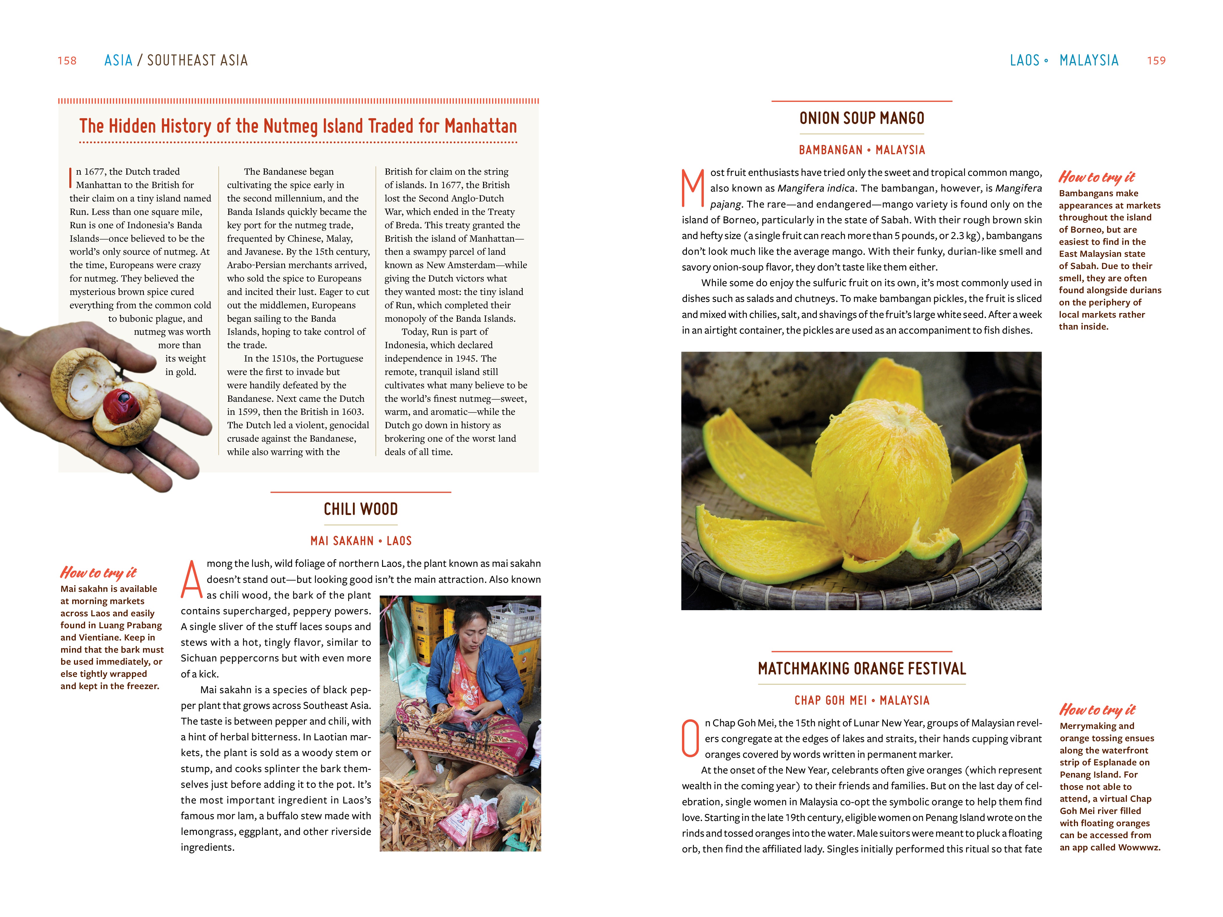 Gastro Obscura - A Food Adventurer's Guide    