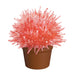 Crystal Cactus - Pink, Green, Blue, or Red    