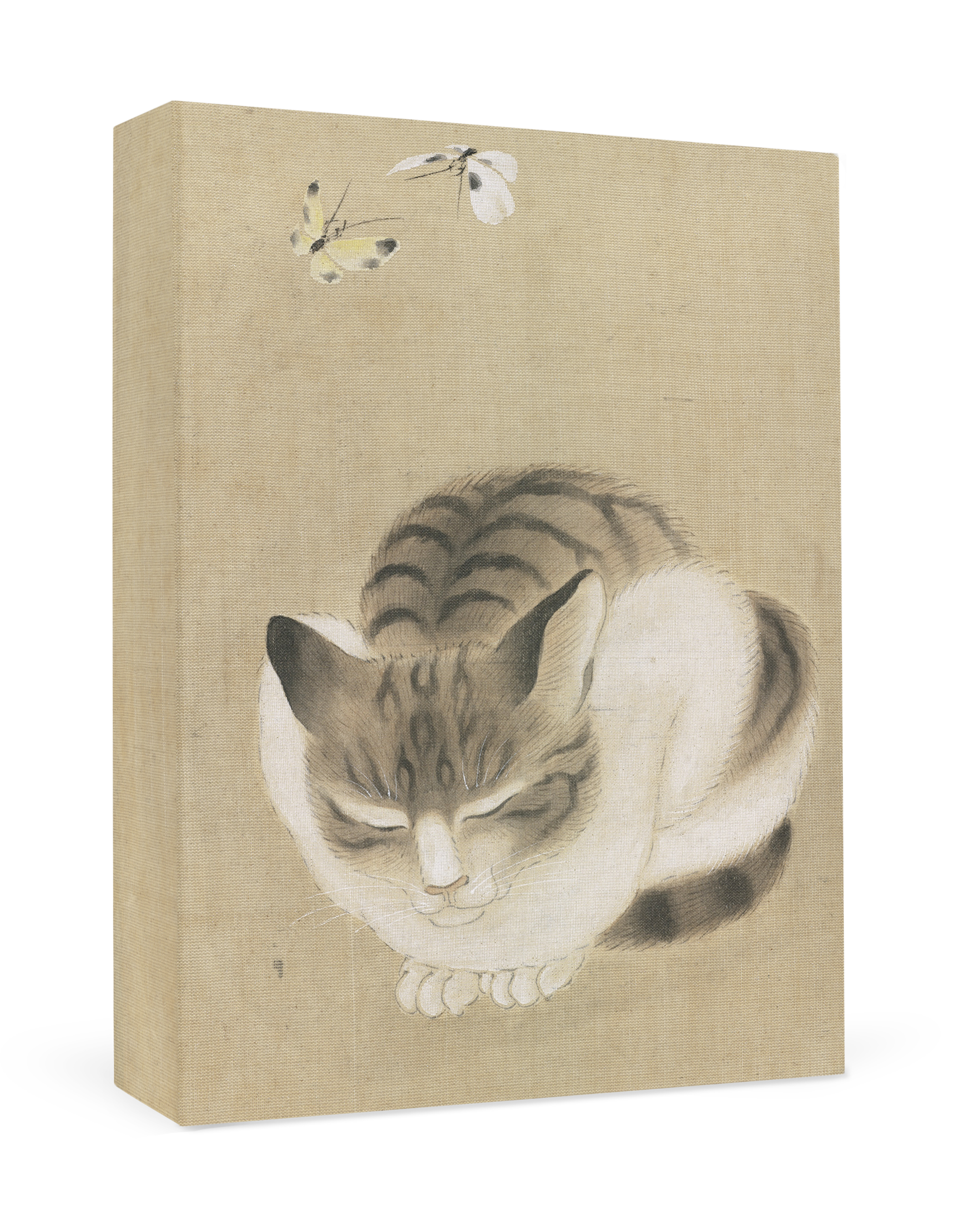 Sleeping Cat and Butterflies - Museum of Fine Arts, Boston - Boxed Note Cards    