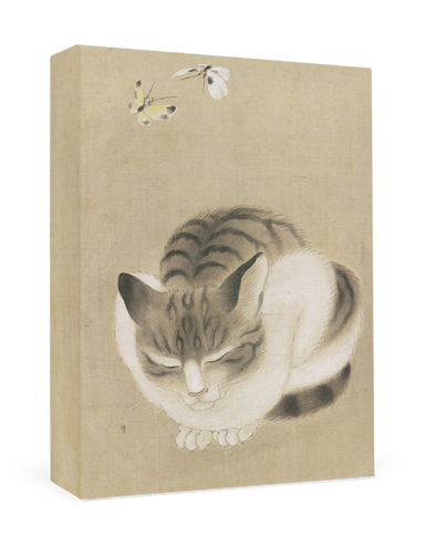 Sleeping Cat and Butterflies - Museum of Fine Arts, Boston - Boxed Note Cards    