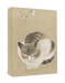 Sleeping Cat and Butterflies - Museum of Fine Arts, Boston - Boxed Note Cards    