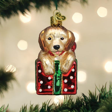 Old World Christmas - Golden Puppy Surprise Ornament    