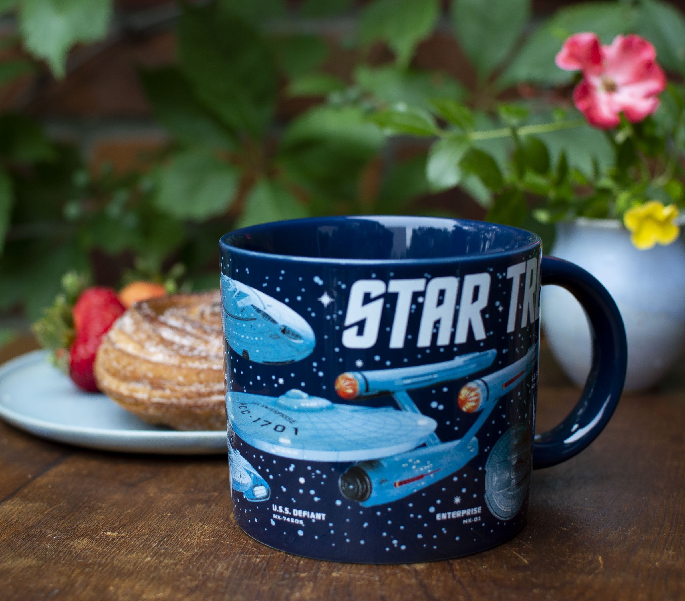 Starships of Star Trek Mug    