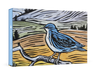 Molly Hashimoto Mountain Bluebird - Boxed Note Cards    